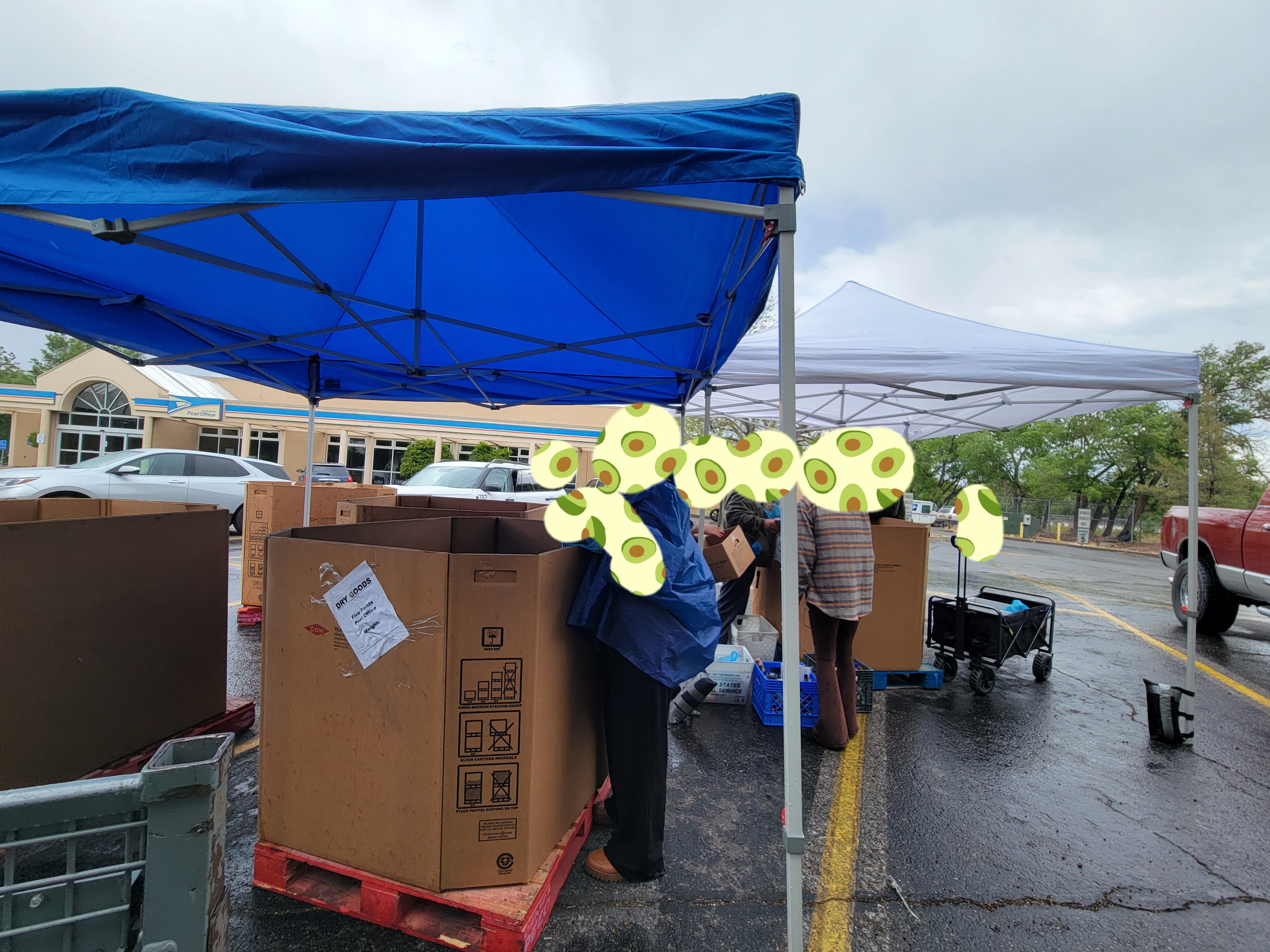 Group of people sorting different food items in large cardboard boxes with food filled mail bins next to them..